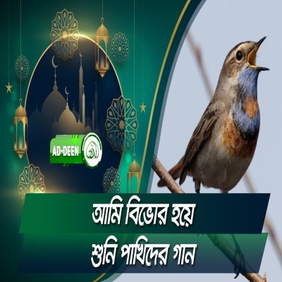 আমি বিভোর হয়ে শুনি পাখিদের গান | Islamic Song