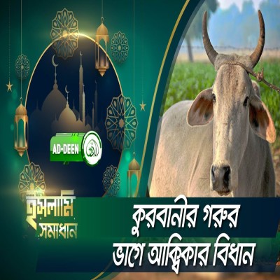 কুরবানীর গরুর ভাগে আক্বিকার বিধান । ইসলামি সমাধান | EP 27